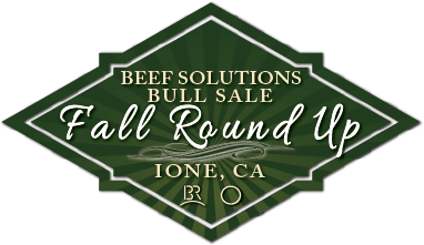 Beef Solutions Bull Sale Fall Round Up logo