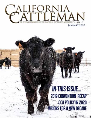 California Cattleman January 2020 cover
