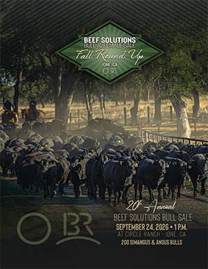 2026 Sale Book Cover